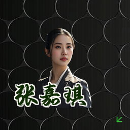 张嘉琪
